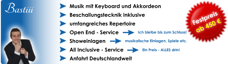 Alleinunterhalter Musiker